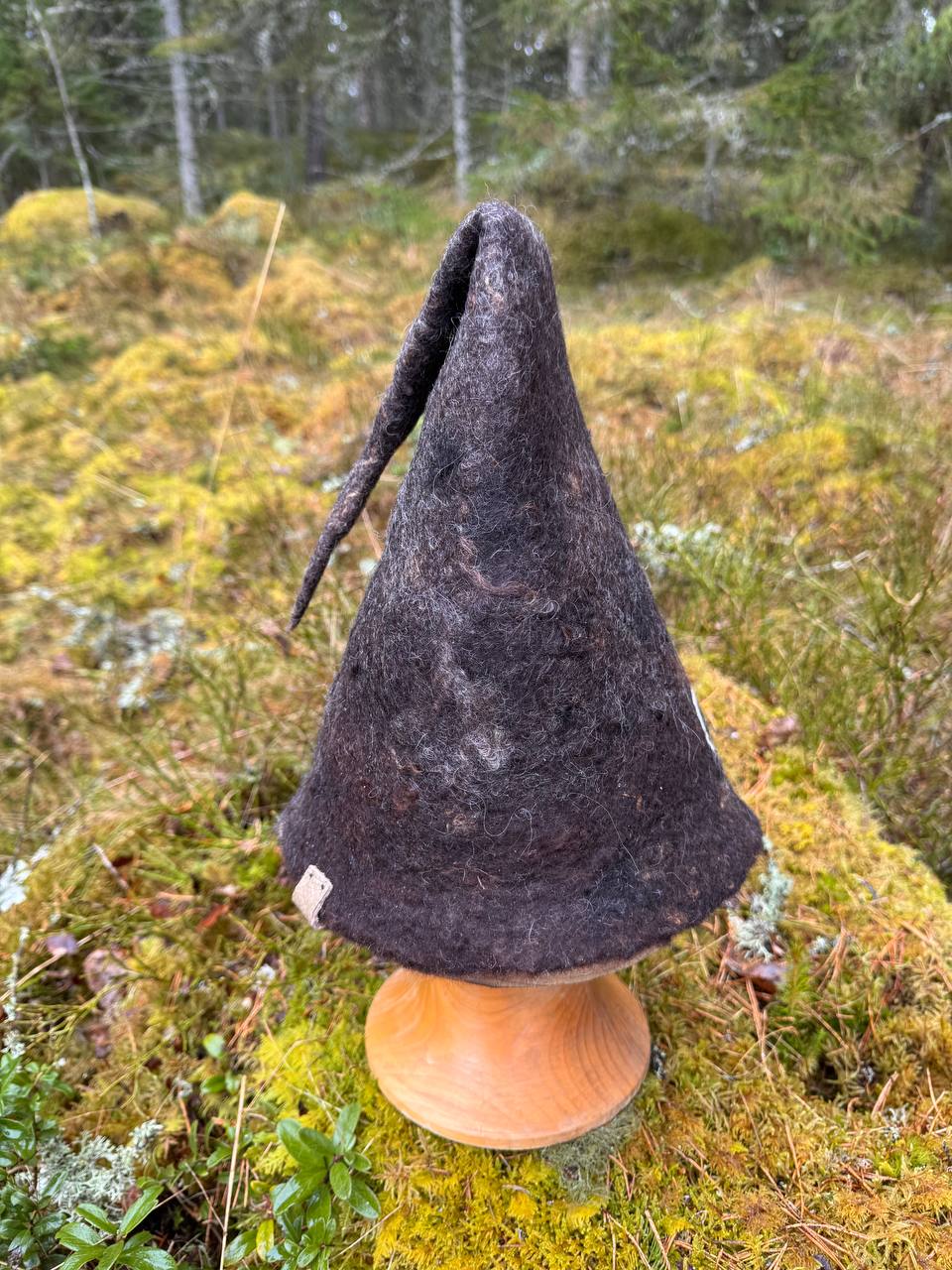 Hiipiä