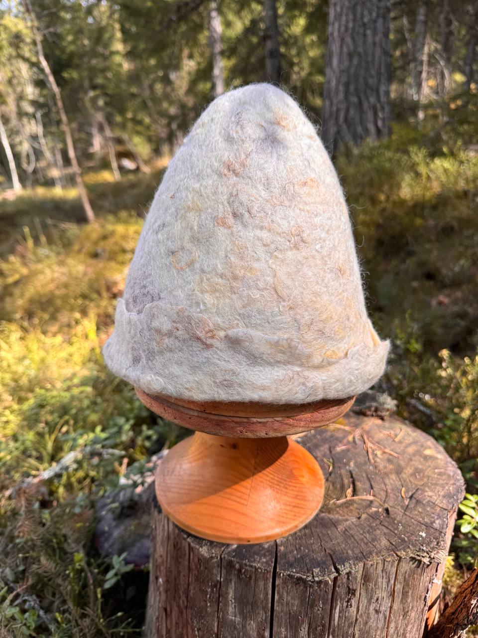 Päivänkehrä