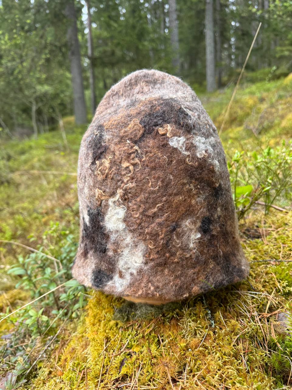 Otava