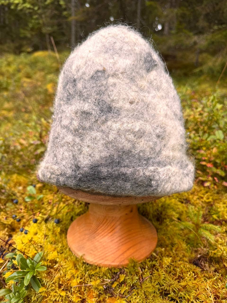 Kuiskaus