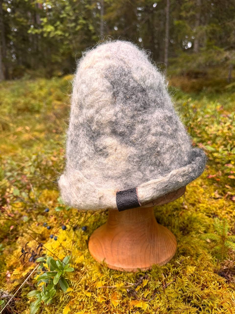 Kuiskaus
