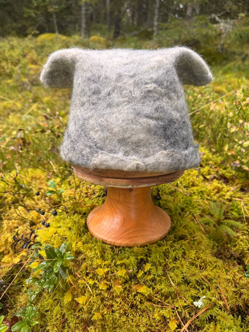 Kivi