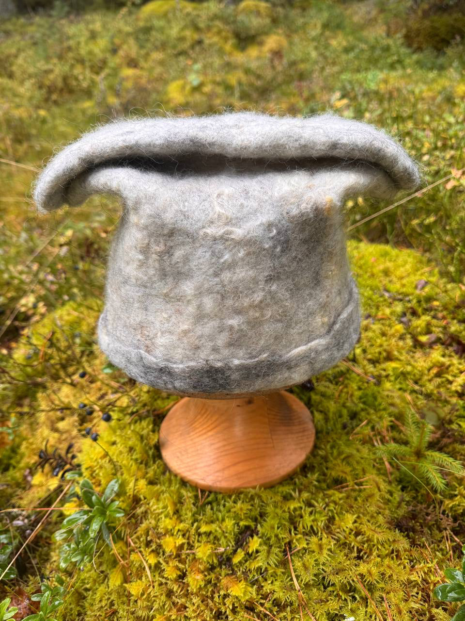 Kivi