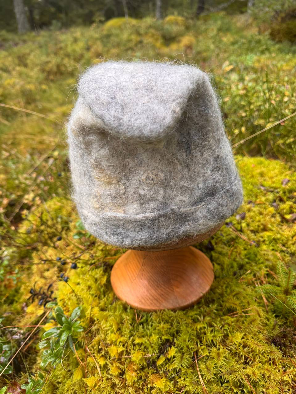 Kivi